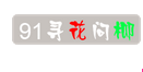 91寻花问柳